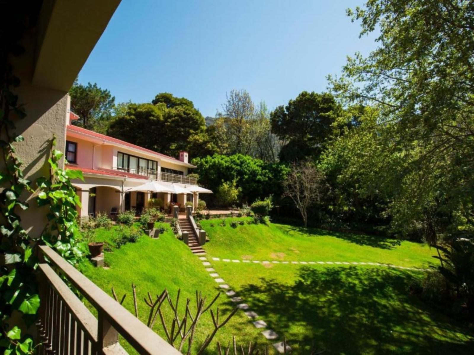 Southern Light Country House Constantia Heights Cape Town Western Cape South Africa Complementary Colors, House, Building, Architecture, Garden, Nature, Plant