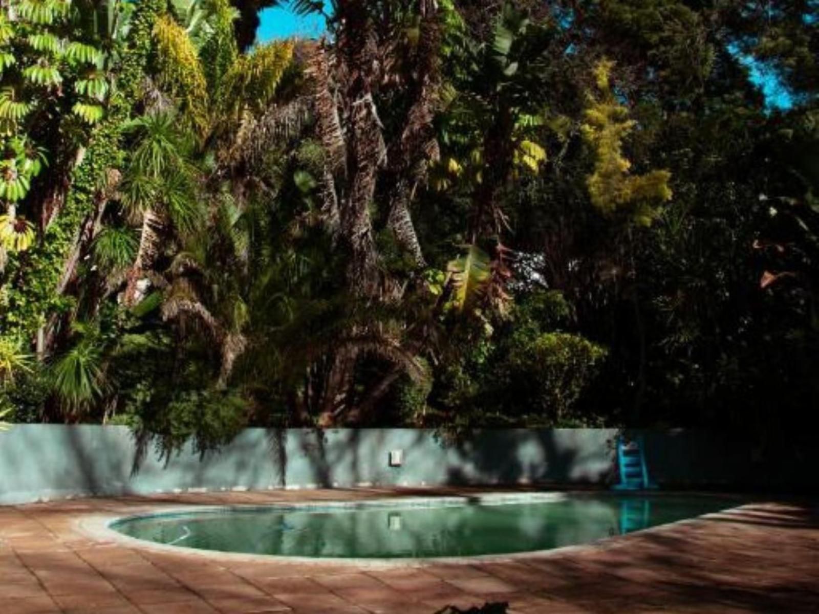 Southern Light Country House Constantia Heights Cape Town Western Cape South Africa Palm Tree, Plant, Nature, Wood, Garden, Swimming Pool