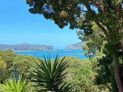 South Villa Guest House Paradise Knysna Western Cape South Africa Complementary Colors, Beach, Nature, Sand, Palm Tree, Plant, Wood