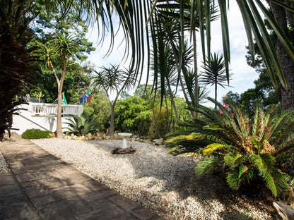 South Villa Guest House Paradise Knysna Western Cape South Africa Palm Tree, Plant, Nature, Wood, Garden