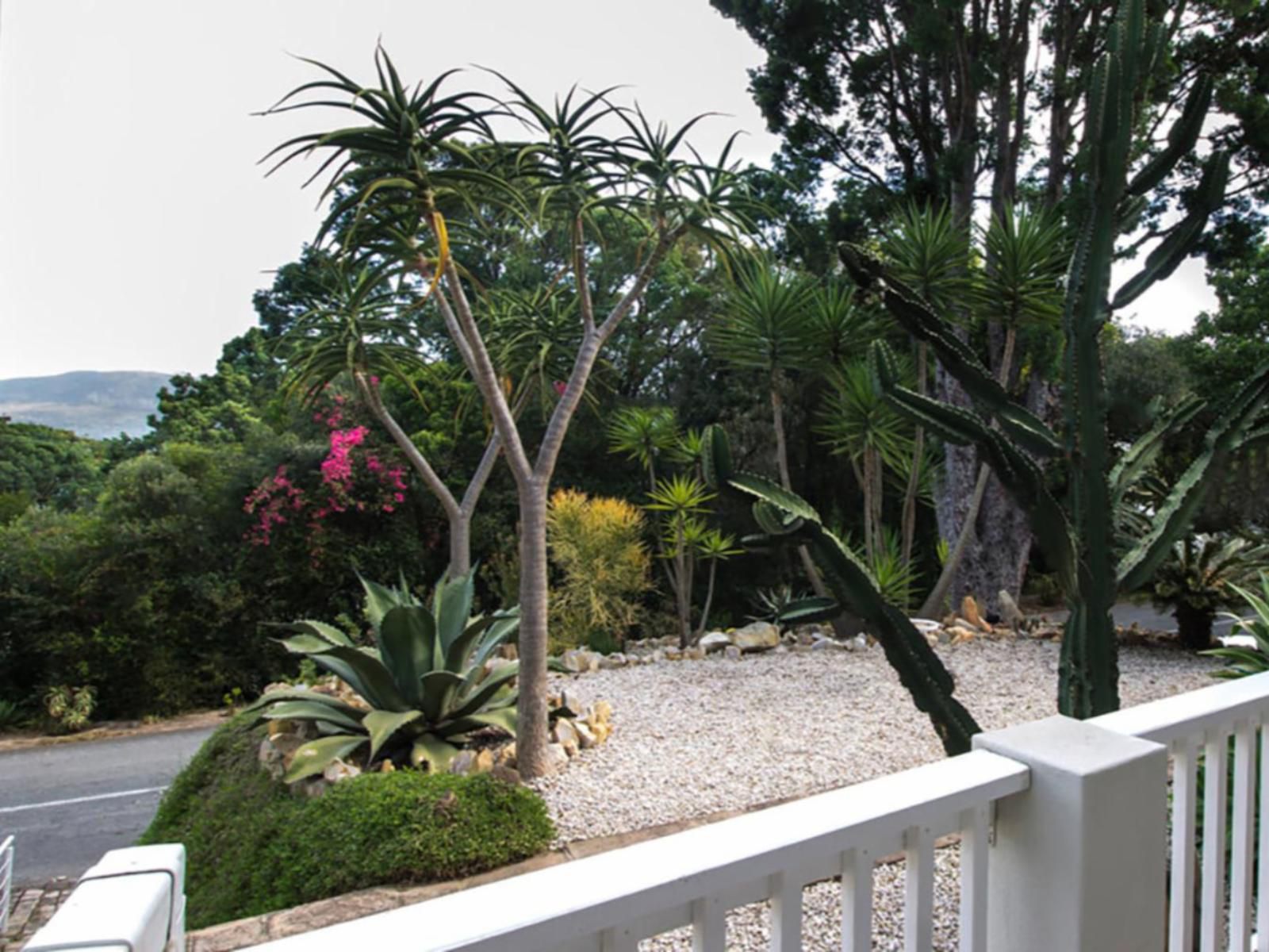 South Villa Guest House Paradise Knysna Western Cape South Africa Palm Tree, Plant, Nature, Wood, Garden