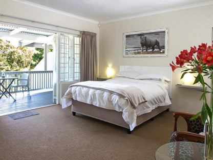 South Villa Guest House Paradise Knysna Western Cape South Africa Bedroom