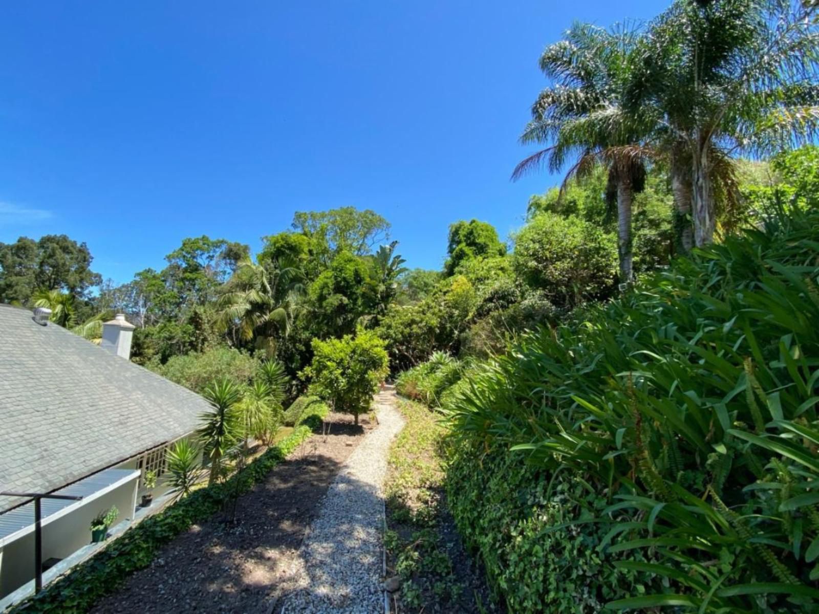 South Villa Guest House Paradise Knysna Western Cape South Africa Complementary Colors, Palm Tree, Plant, Nature, Wood, Garden