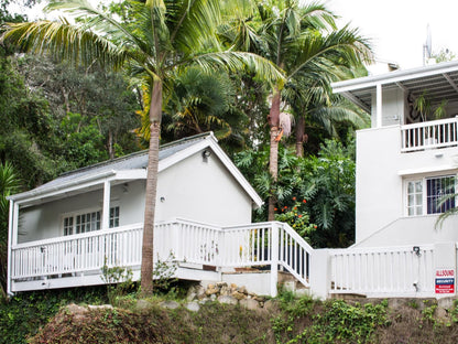 South Villa Guest House Paradise Knysna Western Cape South Africa Building, Architecture, House, Palm Tree, Plant, Nature, Wood