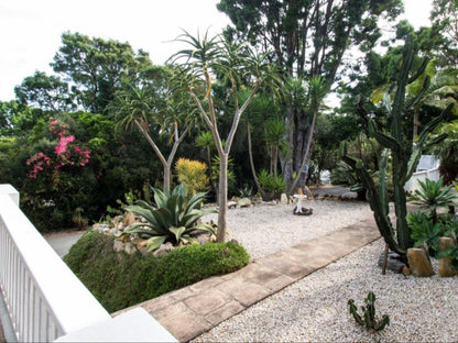 South Villa Guest House Paradise Knysna Western Cape South Africa Palm Tree, Plant, Nature, Wood, Garden