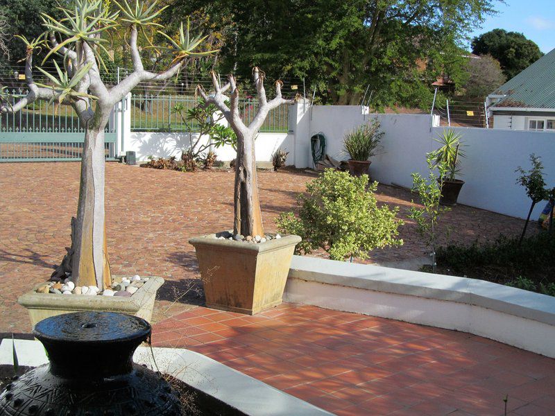 Spacious Luxury Apartment Plattekloof 3 Cape Town Western Cape South Africa Garden, Nature, Plant
