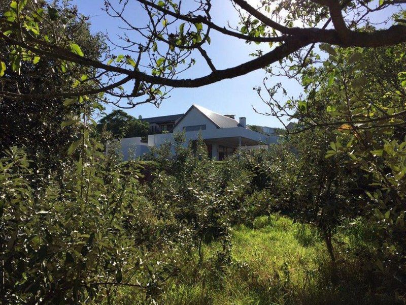 Spacious Family Home In Dunkirk Estate Dunkirk Estate Ballito Kwazulu Natal South Africa Building, Architecture, House, Tree, Plant, Nature, Wood