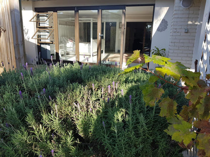 Spacious Garden Unit On Fordyce Walmer Port Elizabeth Eastern Cape South Africa Plant, Nature, Garden