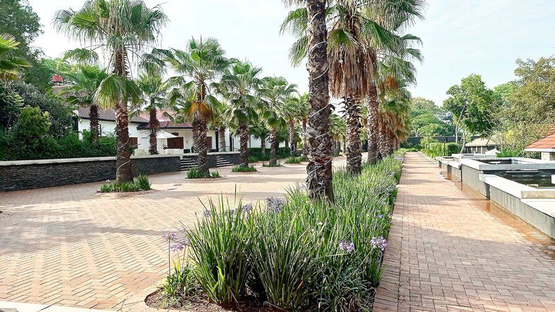 Sparkling Waters Hotel And Spa Buffelspoort North West Province South Africa Palm Tree, Plant, Nature, Wood, Garden