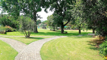 Sparkling Waters Hotel And Spa Buffelspoort North West Province South Africa Palm Tree, Plant, Nature, Wood