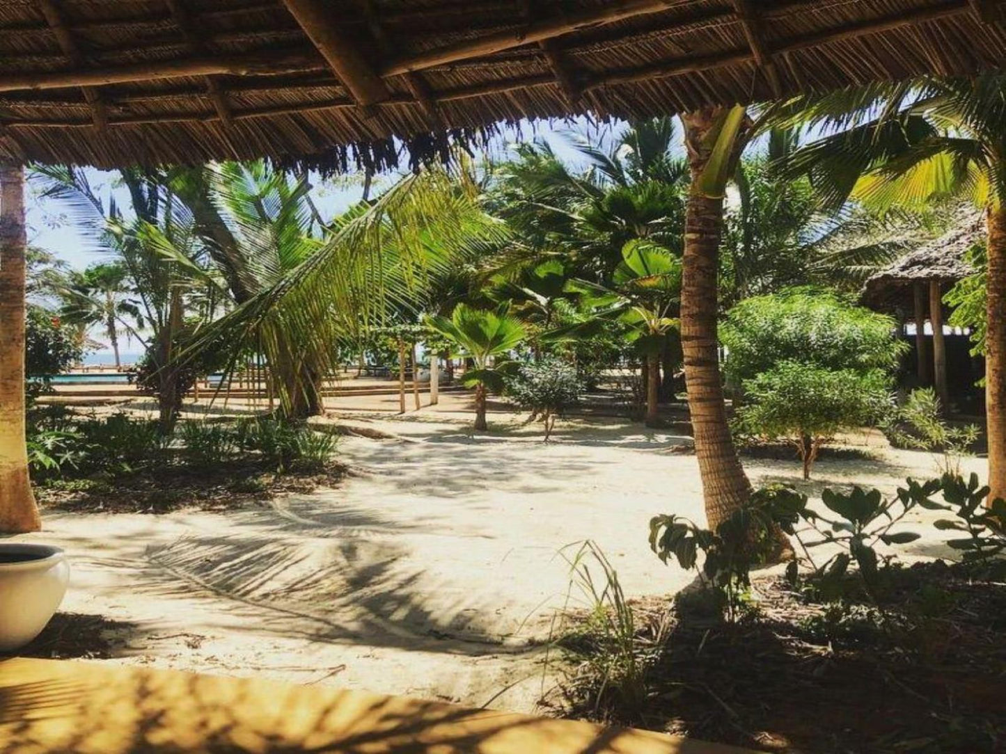 Spice Island Hotel & Resort, Beach, Nature, Sand, Palm Tree, Plant, Wood