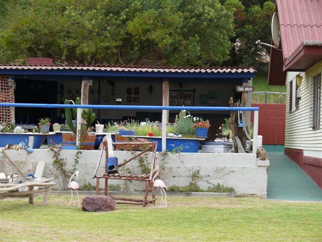 Spogplaas Alexander Bay Northern Cape South Africa Palm Tree, Plant, Nature, Wood, Swimming Pool