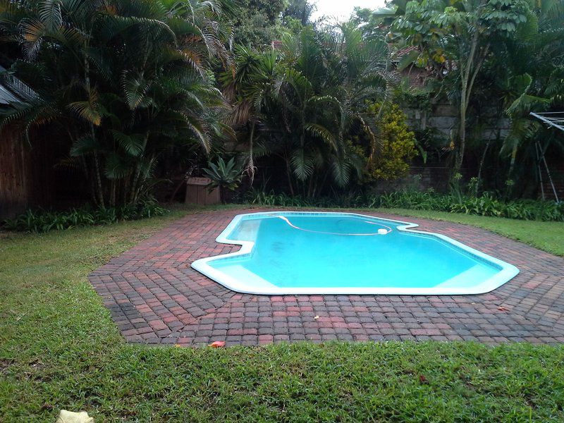 Spring Acres Guesthouse West Acres Nelspruit Mpumalanga South Africa Palm Tree, Plant, Nature, Wood, Swimming Pool
