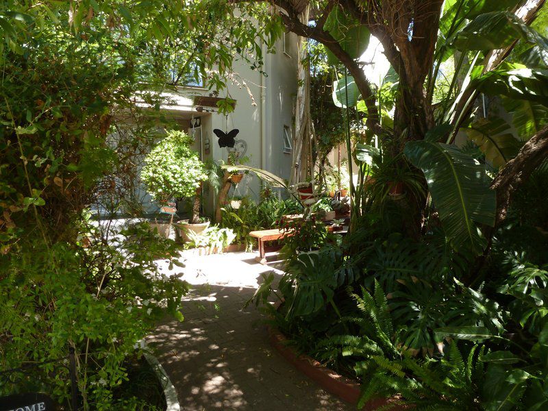 Springbok Apartment Springbok Northern Cape South Africa Palm Tree, Plant, Nature, Wood, Garden