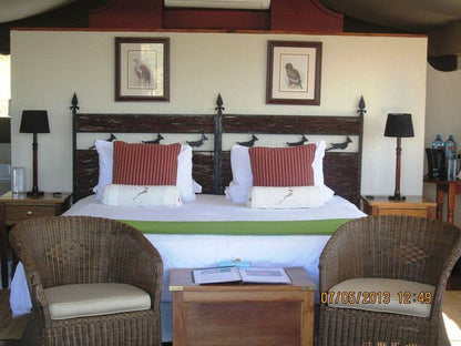 Springbok Lodge Nambiti Private Game Reserve Ladysmith Kwazulu Natal Kwazulu Natal South Africa Bedroom