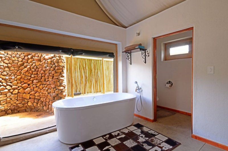 Springbok Lodge Nambiti Private Game Reserve Ladysmith Kwazulu Natal Kwazulu Natal South Africa Bathroom
