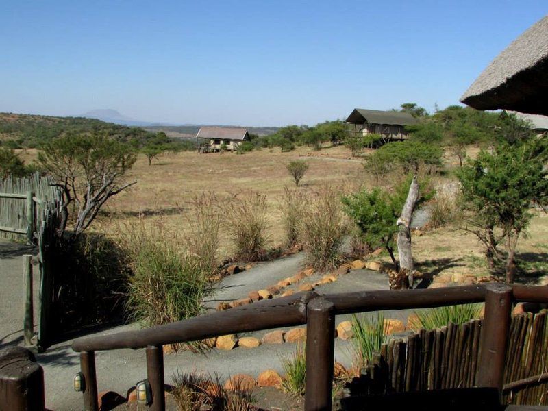 Springbok Lodge Nambiti Private Game Reserve Ladysmith Kwazulu Natal Kwazulu Natal South Africa Complementary Colors