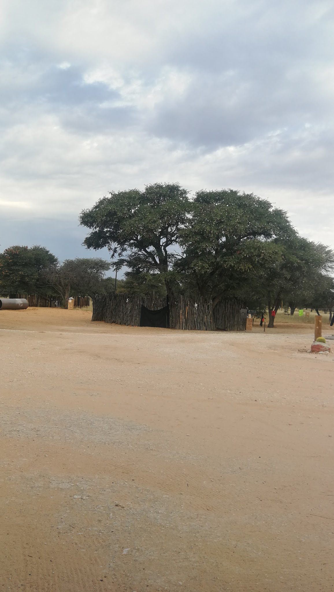 Springbokpan Guest Farm Mccarthys Rest Northern Cape South Africa Desert, Nature, Sand