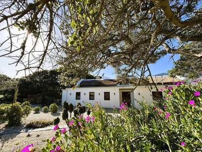 Springfontein Wine Estate, House, Building, Architecture, Plant, Nature, Garden