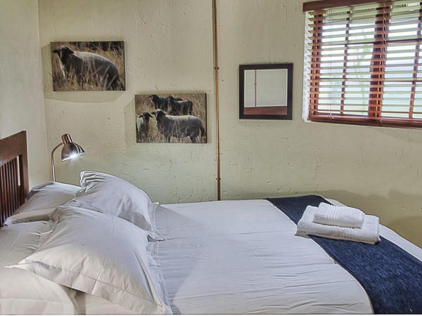 Springgrove Estate Chrissiesmeer Mpumalanga South Africa Unsaturated, Bedroom