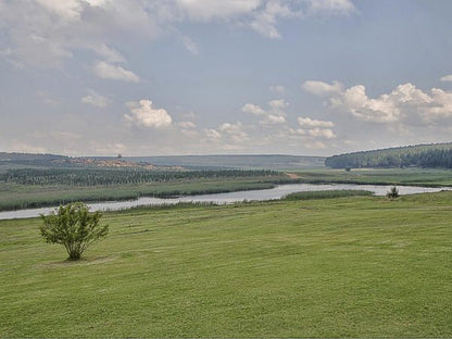 Springgrove Estate Chrissiesmeer Mpumalanga South Africa Lake, Nature, Waters, River, Tree, Plant, Wood, Highland, Lowland