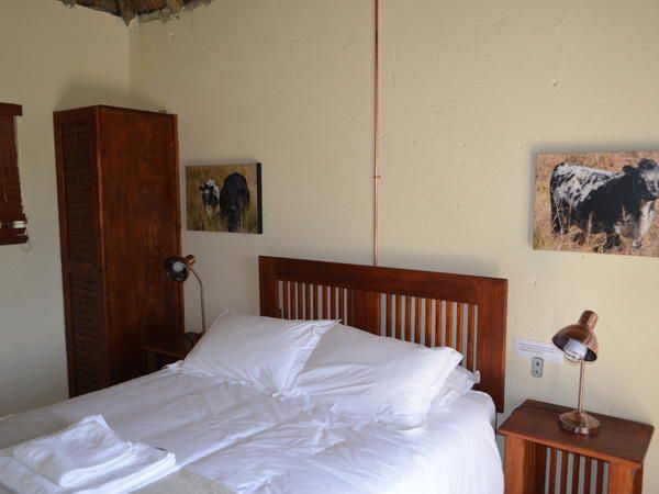 Springgrove Estate Chrissiesmeer Mpumalanga South Africa Bedroom