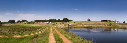 Springgrove Estate Chrissiesmeer Mpumalanga South Africa Complementary Colors, Field, Nature, Agriculture, River, Waters, Lowland