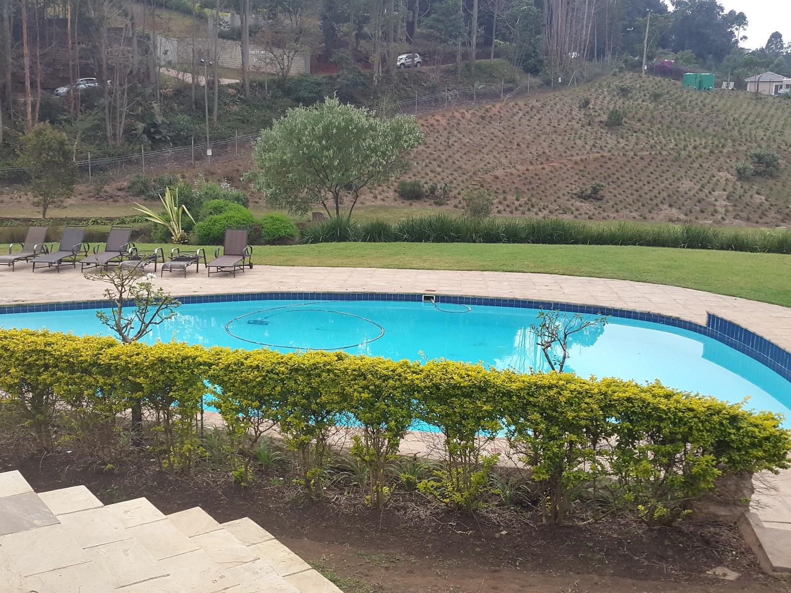 Springside House Hillcrest Durban Kwazulu Natal South Africa Garden, Nature, Plant, Swimming Pool