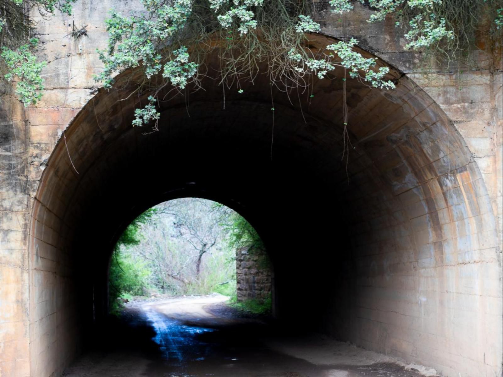 Springvale Farm Cottages, Tunnel, Architecture