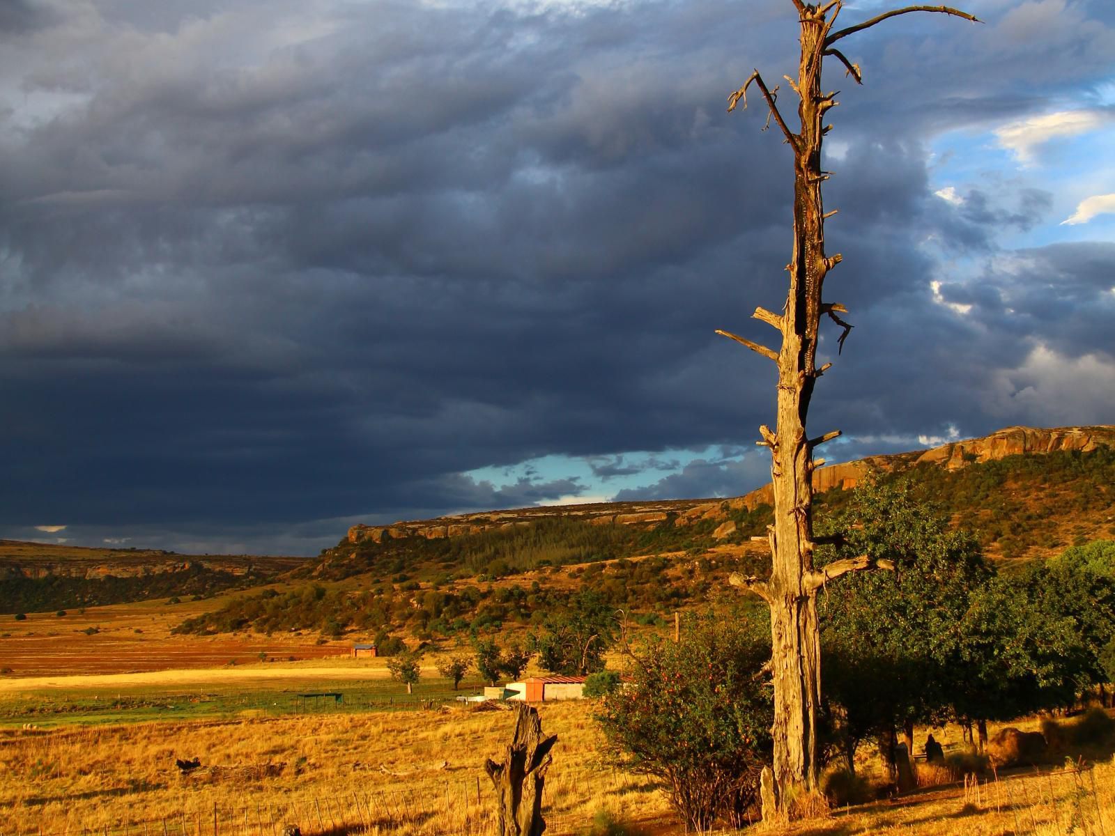 Springwater Cottages Ficksburg Free State South Africa Nature