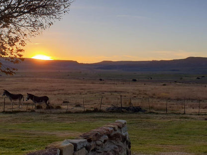 Springwater Cottages Ficksburg Free State South Africa Lowland, Nature