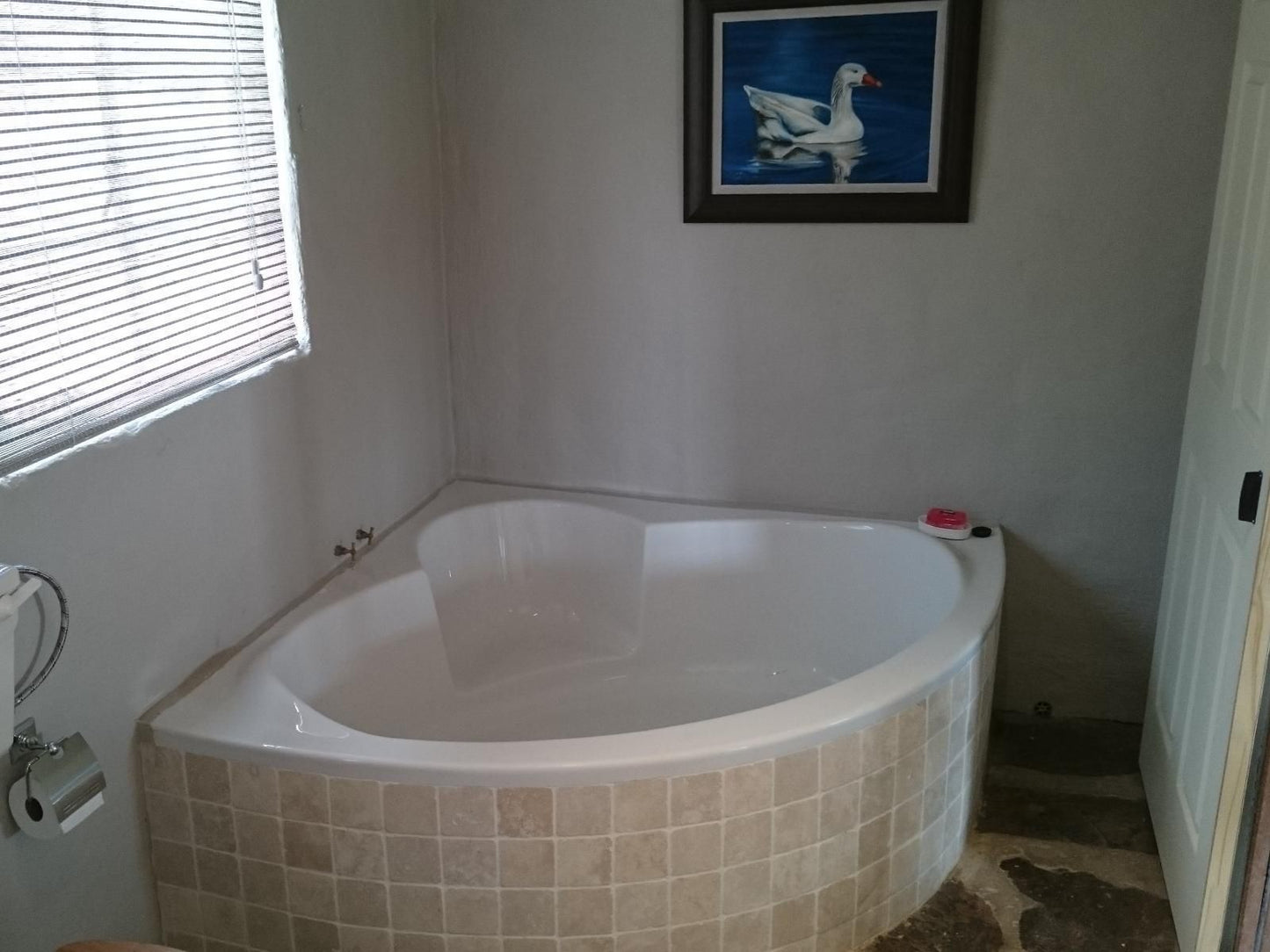 Springwater Cottages Ficksburg Free State South Africa Unsaturated, Bathroom, Swimming Pool