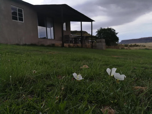 Springwater Cottages Ficksburg Free State South Africa House, Building, Architecture