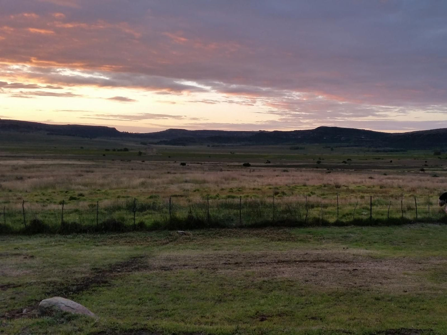 Springwater Cottages Ficksburg Free State South Africa Lowland, Nature