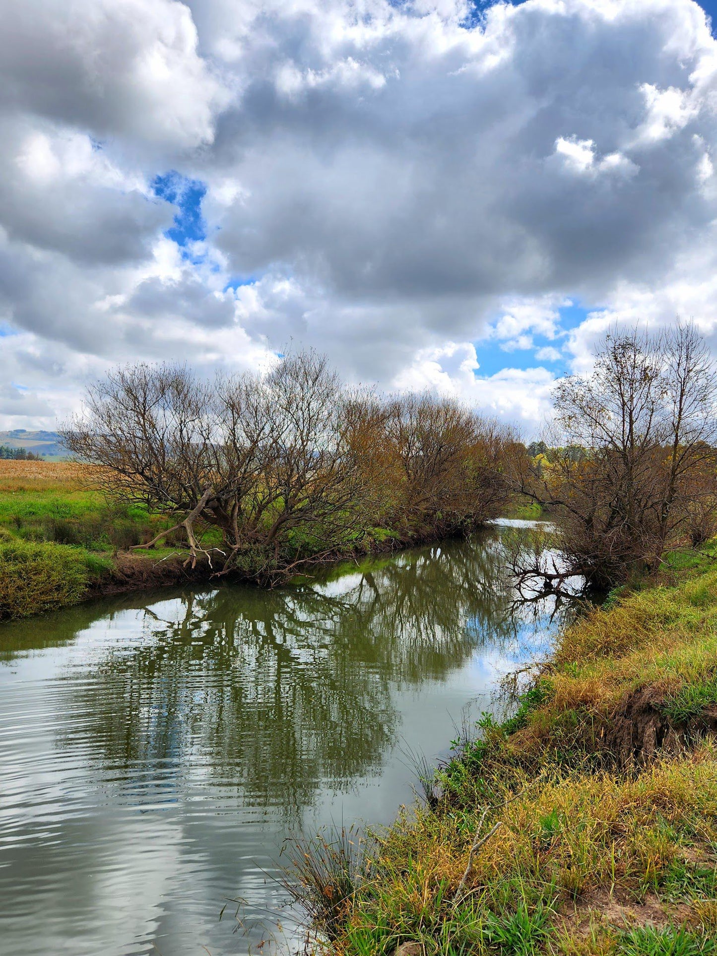 Spring Water Farm Mooi River Kwazulu Natal South Africa Complementary Colors, River, Nature, Waters