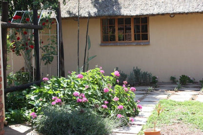 Squirrel S Nest Lodge Mokopane Potgietersrus Limpopo Province South Africa House, Building, Architecture, Plant, Nature, Garden