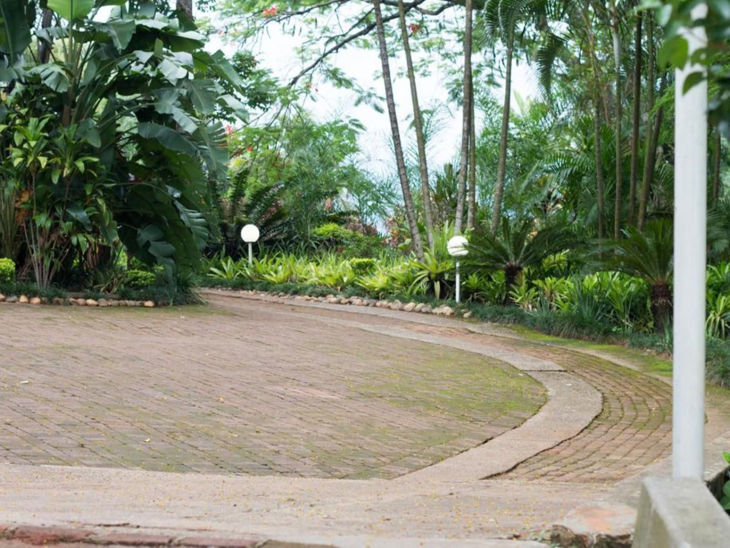 St George S Guest House Tzaneen Limpopo Province South Africa Palm Tree, Plant, Nature, Wood, Garden