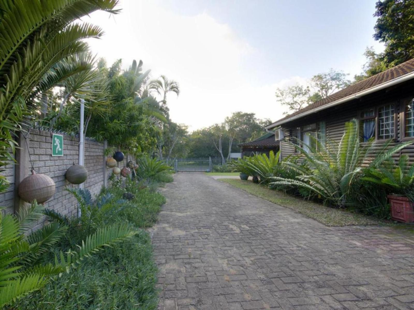 St Lucia Ocean View Lodge St Lucia Kwazulu Natal South Africa Palm Tree, Plant, Nature, Wood