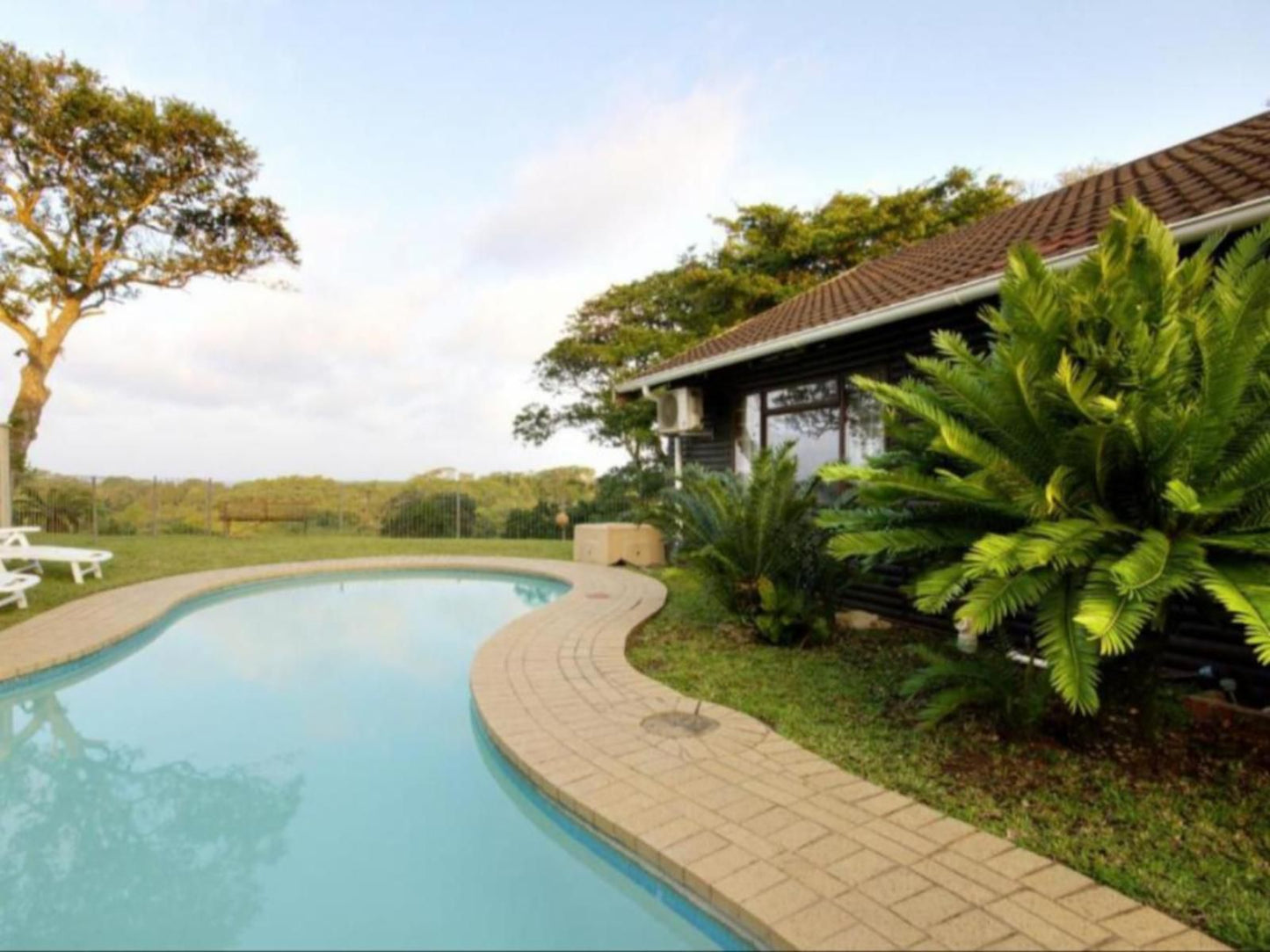 St Lucia Ocean View Lodge St Lucia Kwazulu Natal South Africa Complementary Colors, Palm Tree, Plant, Nature, Wood, Swimming Pool