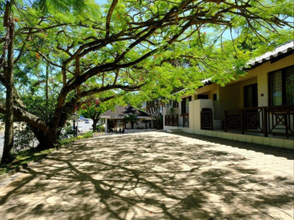 St Lucia Palms, House, Building, Architecture, Palm Tree, Plant, Nature, Wood