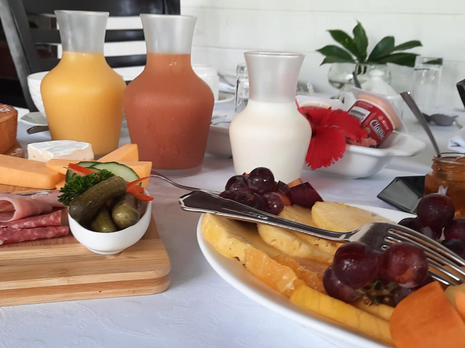 St Lucia Wetlands Guest House, Juice, Drink, Food