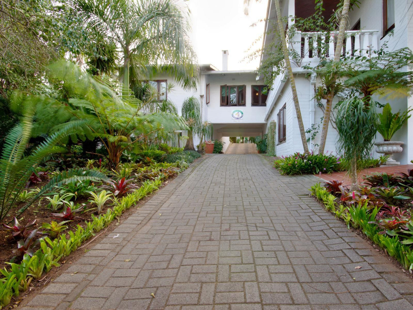 St Lucia Wetlands Guest House, House, Building, Architecture, Palm Tree, Plant, Nature, Wood, Garden