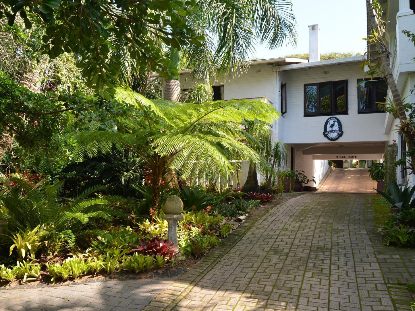 St Lucia Wetlands Guest House, House, Building, Architecture, Palm Tree, Plant, Nature, Wood