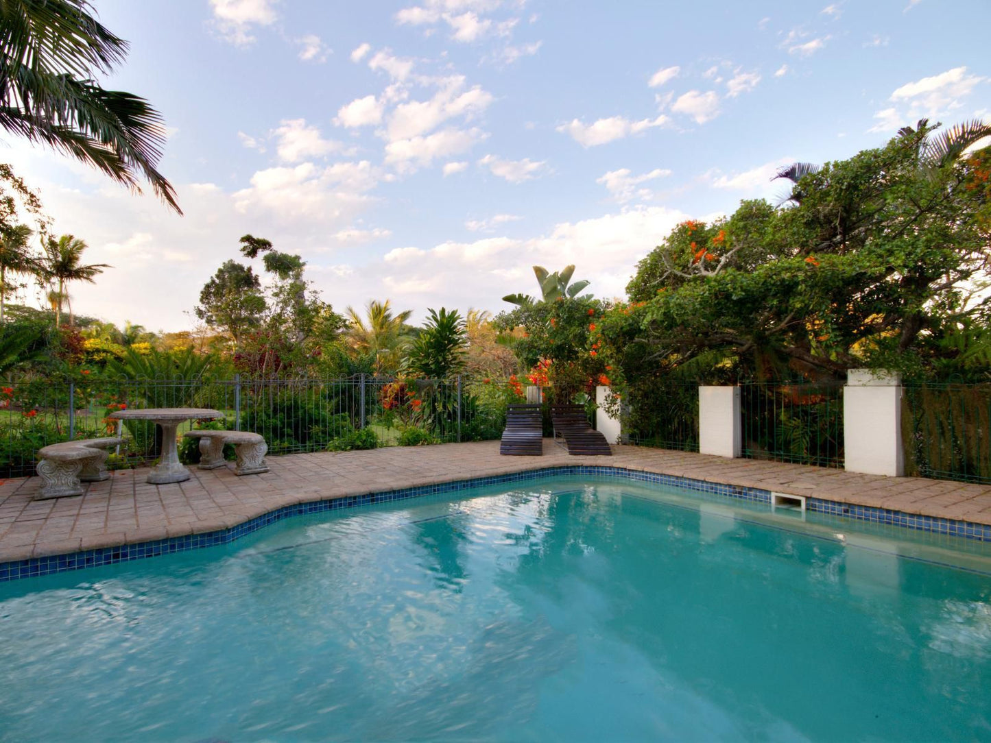 St Lucia Wetlands Guest House, Palm Tree, Plant, Nature, Wood, Garden, Swimming Pool