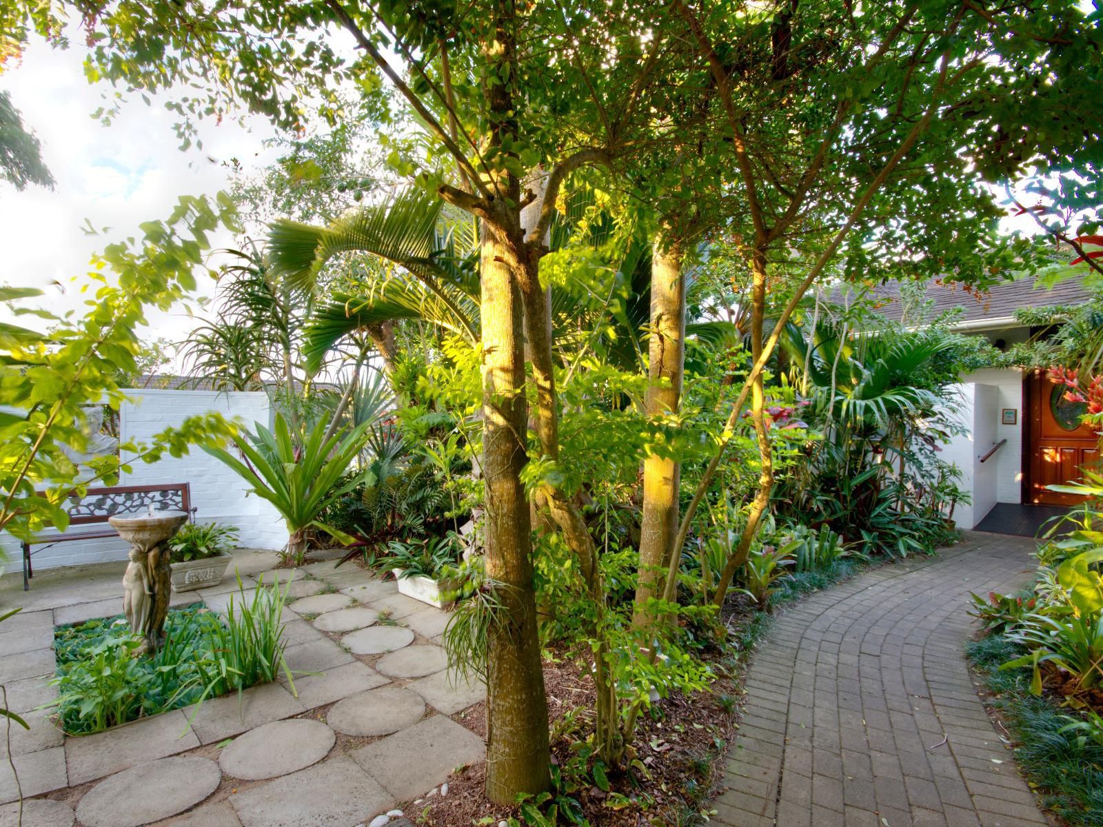 St Lucia Wetlands Guest House, Palm Tree, Plant, Nature, Wood, Garden