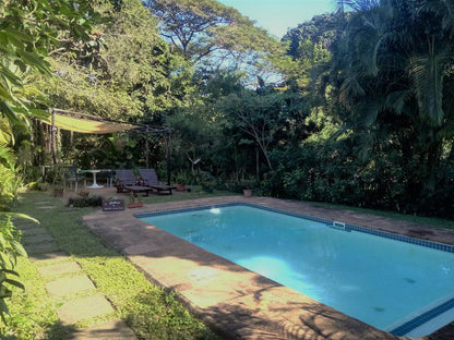 St Lucia Wilds Flatlet St Lucia Kwazulu Natal South Africa Palm Tree, Plant, Nature, Wood, Garden, Swimming Pool