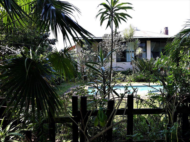 St Lucia Wilds Flatlet St Lucia Kwazulu Natal South Africa House, Building, Architecture, Palm Tree, Plant, Nature, Wood, Swimming Pool