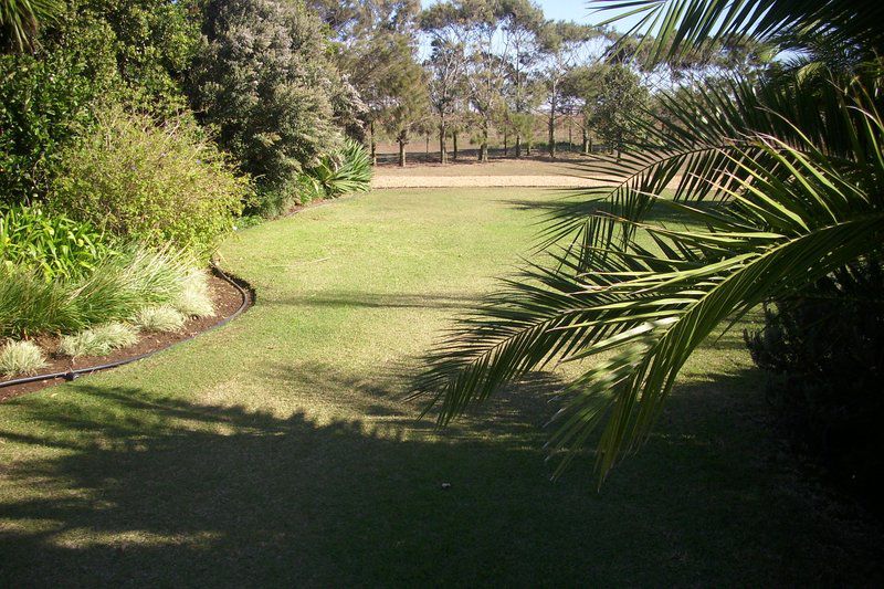 Staandakkie Guest Cottage Bredasdorp Western Cape South Africa Palm Tree, Plant, Nature, Wood, Garden