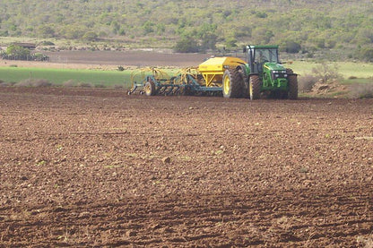 Staandakkie Guest Cottage Bredasdorp Western Cape South Africa Field, Nature, Agriculture, Tractor, Vehicle, Canola, Plant, Lowland