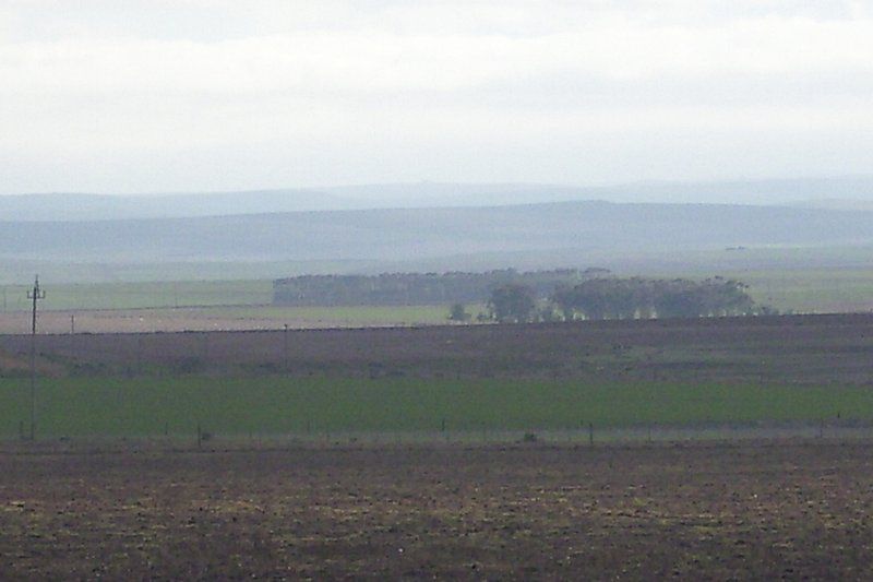 Staandakkie Guest Cottage Bredasdorp Western Cape South Africa Field, Nature, Agriculture, Lowland